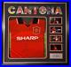 Eric_Cantona_Hand_Signed_94_96_Manchester_United_Football_Shirt_Framed_Display_01_gob
